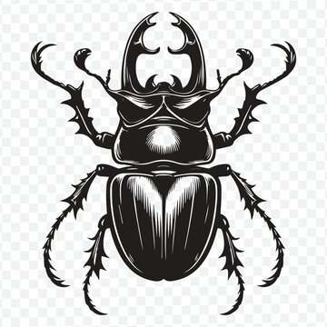 A modern black and white beetle logo, characterized by clean lines and a bold silhouette, representing strength and resilience