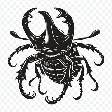 A modern black and white beetle logo, characterized by clean lines and a bold silhouette, representing strength and resilience