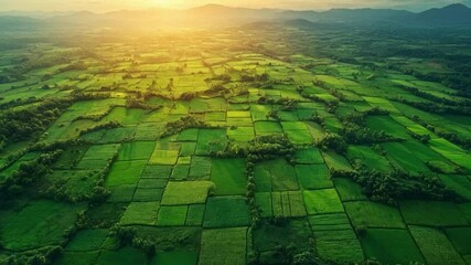 Poster - Vast stretches of green fields cover the landscape, showcasing agricultural technology in use. The sun sets over the horizon, illuminating a peaceful rural area with vibrant colors.