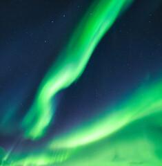 Wall Mural - aurora borealis, northern lights dancing with starry in blue sky