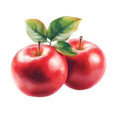 Wall Mural - two apples with leaves