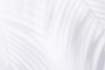 Aufkleber - Template with empty white table or wall with natural plant shadow and sunny glare