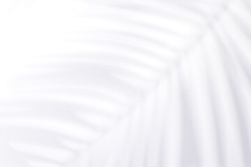 Aufkleber - Template with empty white table or wall with natural plant shadow and sunny glare