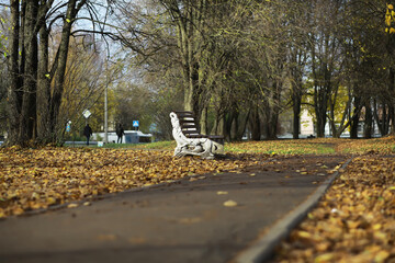 Poster - Autumn Park Scene with Empty Bench and Fallen Leaves on Pathway