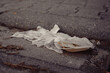 © funkenzauber - Trash discarded on city street showcases urban litter issues and environmental concerns in a metropolitan area