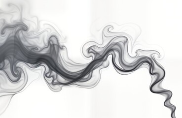 Leinwandbilder - Abstract close-up view of swirling dark gray smoke. Intricate patterns, shapes form in air. Wispy, ethereal smoke gracefully floats against plain white background. Photo evokes calmness, serenity.