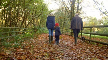 Wall Mural - Rear view of mother with daughter and grandfather taking pet Spaniel dog on walk through autumn countryside - shot in slow motion