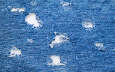 Wall Mural - jeans. a frayed and torn piece of denim rag