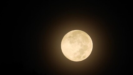Wall Mural - full moon footage on january 2025