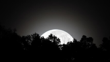 Wall Mural - first full moon in january 2025