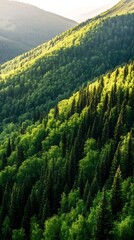 Poster - Panoramic View of Lush Green Forested Hills Under Bright Sunlight : Generative AI
