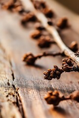 Aufkleber - Rustic Wooden Branch with Textured Bark and Emerging Buds : Generative AI