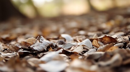 Aufkleber - Autumn Leaves Scattered on Ground in a Soft Focus Forest Setting : Generative AI