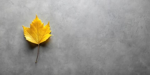 Poster - Single Golden Autumn Leaf on Gray Surface Background