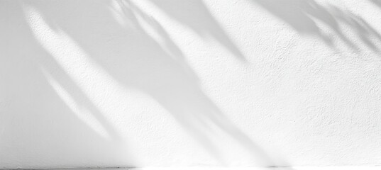Abstract Blurred White Shadow Background of Natural Leaves Tree Branch Wall Texture, Summer
