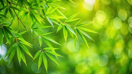 Aufkleber - Vibrant Green Bamboo Leaves in a Sunny Forest Setting