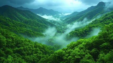 Wall Mural - Green, foggy mountain valley with trees, moody sky.