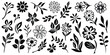 © Valerii - Hand drawn plant elements, flowers and leaves, vector design