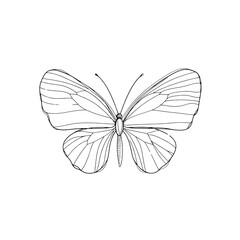Aufkleber - The image shows a detailed line art drawing of a butterfly against a black background, showcasing its intricate wing patterns.