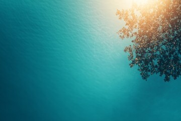 Aufkleber - A serene tree extends its branches over a crystal-clear swimming pool, reflecting bright sunlight and inviting relaxation in a tranquil outdoor setting