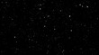 © Muksheda - Scratched Grunge Urban Background Texture Vector. Dust Overlay Distress Grainy Grungy Effect. Distressed Backdrop Vector Illustration. Isolated on Black Background. EPS 10.