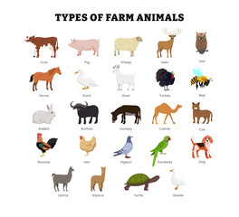 Wall Mural - set of different types of farm animal collection for education poster, vector illustration with cow,