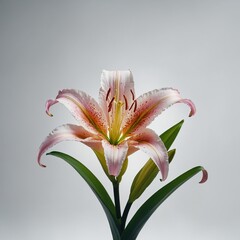 Wall Mural - A digital artwork of a magical glowing lily on a white background.