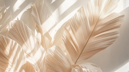 Poster - Tropical leaf in soft focus with morning light creating a serene Scandinavian style interior atmosphere