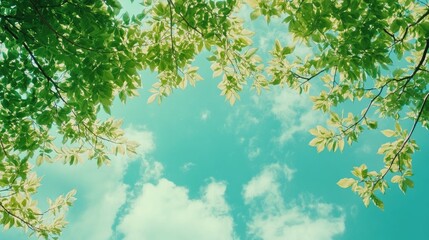 Poster - lush green leaves framing a bright blue sky with fluffy clouds creating a serene nature backdrop in 