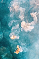 Poster - abstract smoke art teal water color swirls design