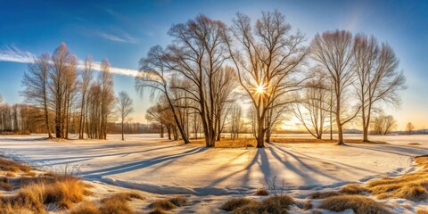 Aufkleber - Winter Sunrise Illuminates Bare Trees Casting Long Shadows on Snow Covered Field