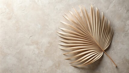 Poster - Dried Palm Leaf on Neutral Background Minimalist Botanical Design