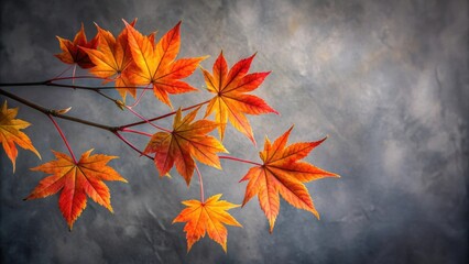 Poster - Autumnal Branch with Vivid Orange Maple Leaves Against a Gray Background