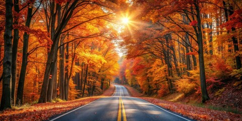 Aufkleber - Autumnal Road Through a Sunlit Canopy of Vibrant Fall Foliage