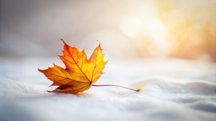 Poster - A Single Autumn Leaf Resting on Soft White Fabric in Gentle Sunlight