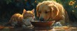 © peppastocker - Cat and dog drinking water together in sunlit garden