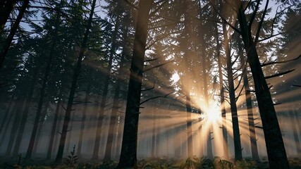 Poster - Majestic sunlight rays filtering through a serene forest at dawn