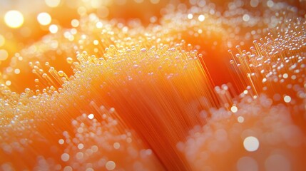 Poster - bright orange abstract fiber optic light with bokeh effects