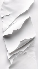 Poster - Abstract White Torn Paper Texture Background Design Element