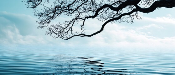 Poster - Serene Waterscape Tranquil Branches Sky Reflection Peaceful Nature Scene