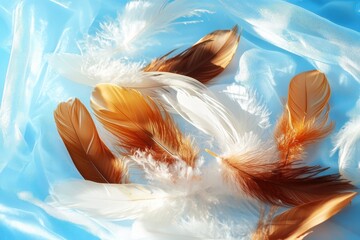 Poster - Delicate feathers collection soft blue background still life photography artistic environment close-up view nature's beauty highlighted