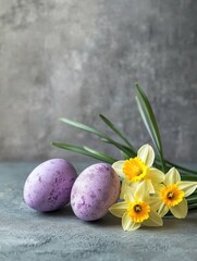 Wall Mural - Easter or spring background. Decorative violet eggs. and yellow daffodils or narcissus flowers on. grey textured background. Selective focus. Place for text.