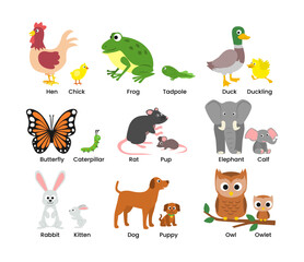 Wall Mural - set of cute animals mom and baby cartoon set collection poster education, parent and baby animal cou