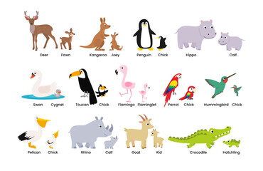 Wall Mural - set of cute animals mom and baby cartoon set collection, poster education, parent and baby animal co
