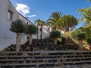 Wall Mural - Fuerteventura