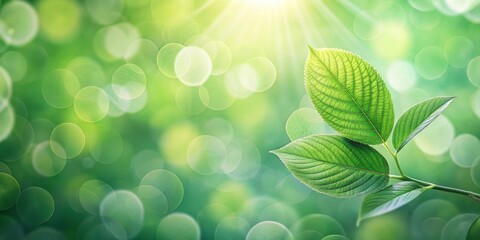 Poster - Bright Sunlight Illuminates Vibrant Green Leaves in a Soft Bokeh Background