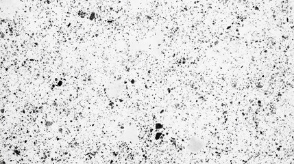 Poster - Textures and patterns of a speckled gray surface with black flecks in various sizes