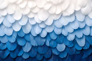Poster - An abstract pattern of feathers shades smoothly from white to blue, creating an intricate visual experience reminiscent of sublime artistry and peaceful ambience.