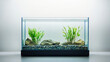 © Mehran - Fish tank aquarium with no water and fish on white background. Empty fishbowl. Nobody