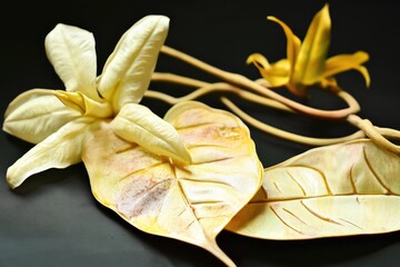 Poster - A close-up view of two bright yellow leaves placed on a table